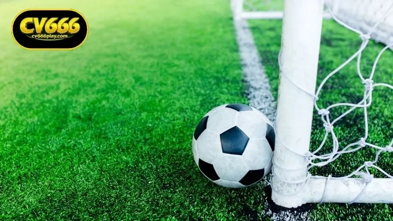 How CV666 Sports Combines Global Access with Local Features