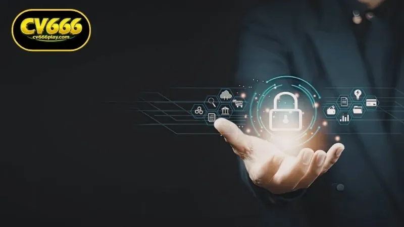 The CV666 Privacy Policy Framework and Legal Compliance